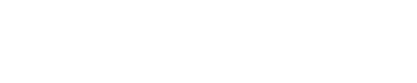 Vanguard IT
